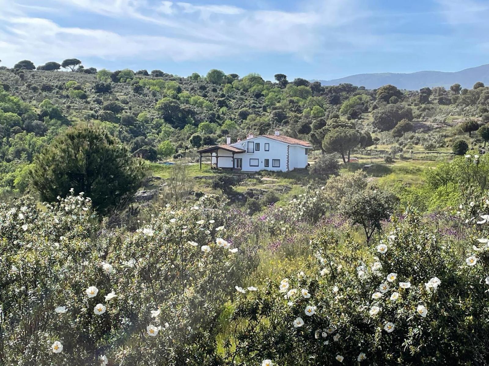 Finca Altair Madrid Eksteriør bilde